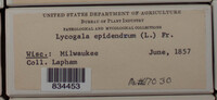 Image Associated With the Occurence
